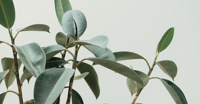 Non Surgical Pain Consultation