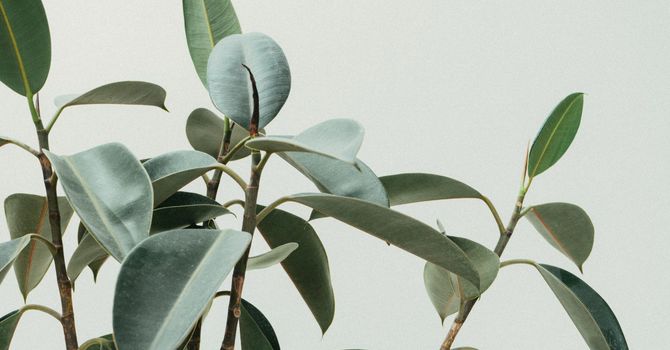 Men's Preventative & Vitality Evaluation