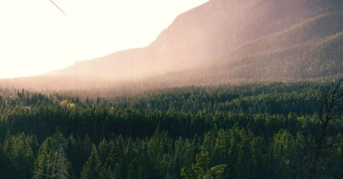 Vitamin Consultation - Initial Visit