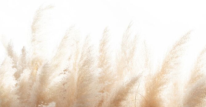 Non Surgical Pain Consultation